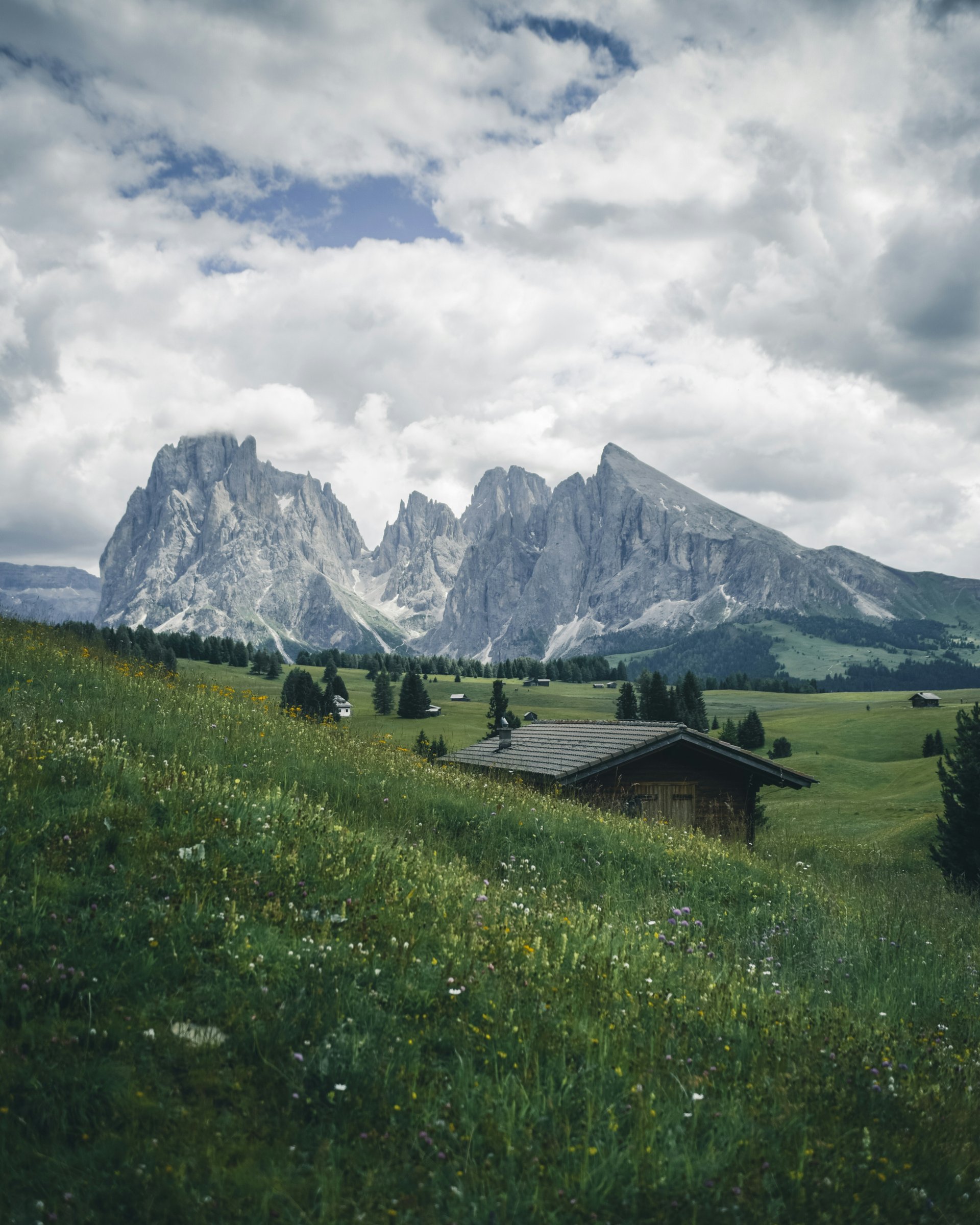 Rustic wooden homestead cabin on a prairie with mountains in the background